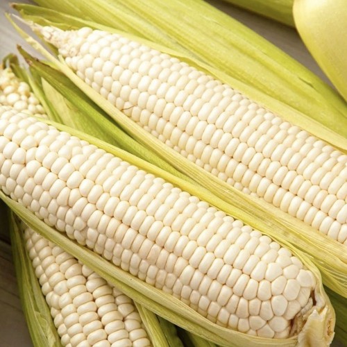 Image 8220