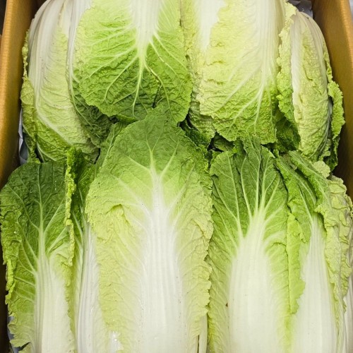 Image 8574