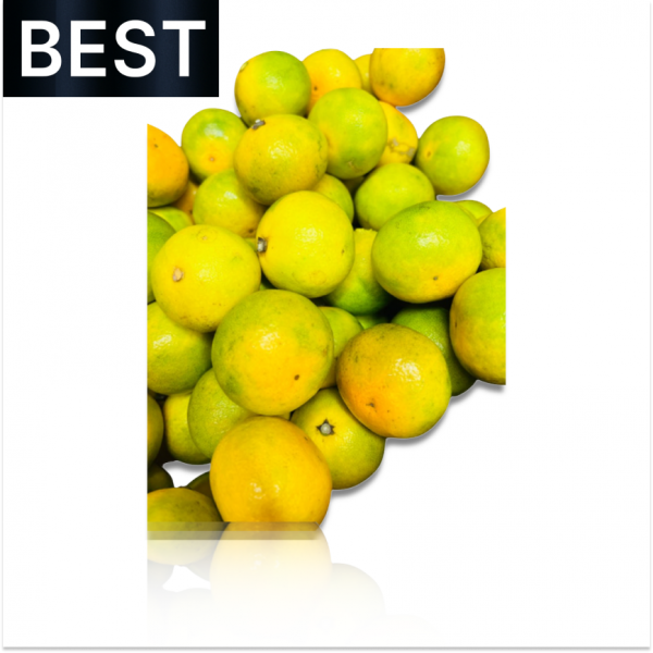1995115139_Z8sx1Apz_c94c7fe14d9bcf46341ce009553528baf3d60eb3.png